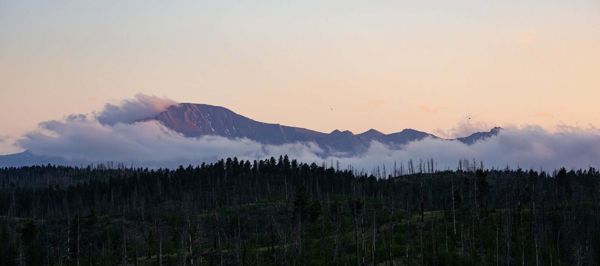 Mountain ridge wrapped in low clouds at evening